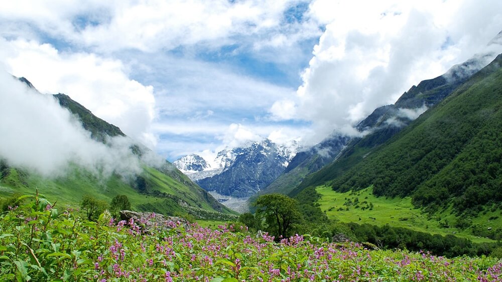 valley of flower trek